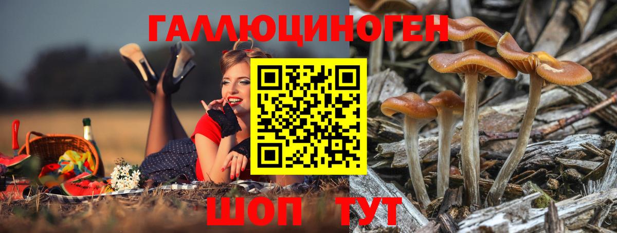 Галлюциногенные грибы Psilocybine cubensis  Вход с VPN  Галлюциногенные грибы Psilocybe  Звенигород 